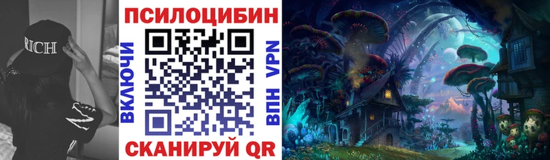 Купить  Вольск  Галлюциногенные грибы Psilocybe 