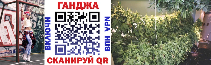 МАРИХУАНА конопля Вольск